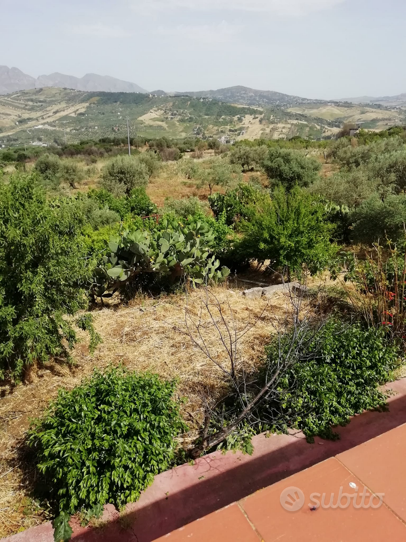 Terreno con casa - Vista 5