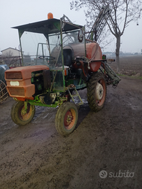 Canducci irroratrice