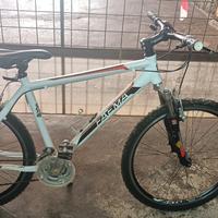 Bici da 26 pollici con le marce 