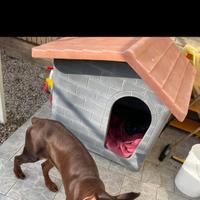 Cuccia taglia grande