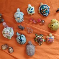 collezione tartarughe