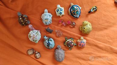collezione tartarughe