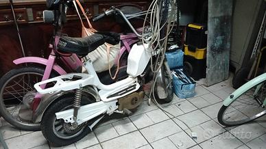 motorino califfo