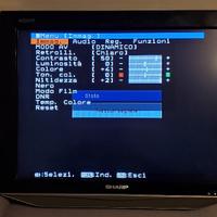 Monitor / TV LCD Sharp Aquos 20"