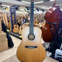 SILVA PIERLUIGI + CUSTODIA