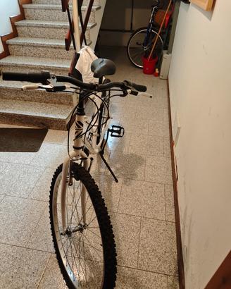 montebike 