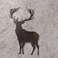 Animali selvatici