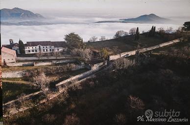 quadri su tela dei colli euganei 
