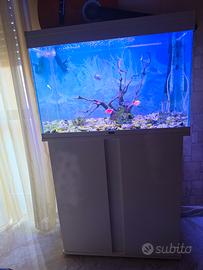 Acquario completo 
