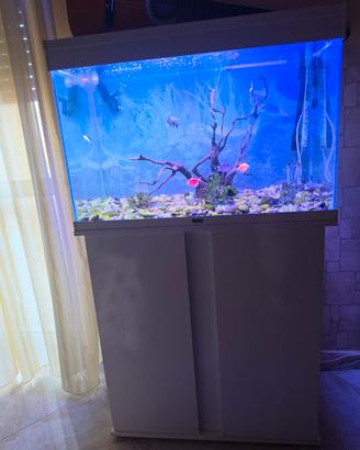 Acquario completo 