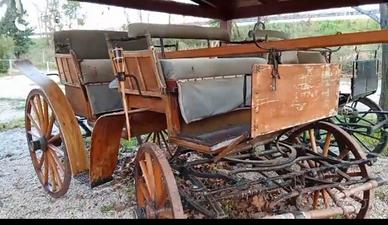 carrozza per 2 cavalli o 1