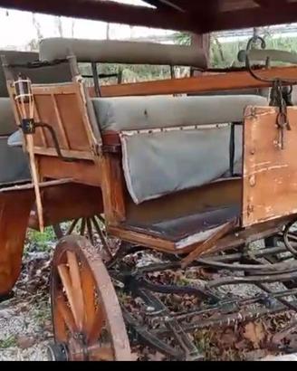 carrozza per 2 cavalli o 1