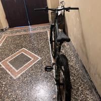 Bicicletta da strada e montagna