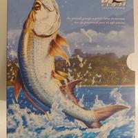 Cofanetto Dvd pesca