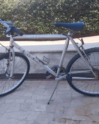 Bicicletta