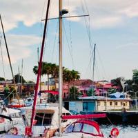 Barca a vela Dufour 33 piedi natante