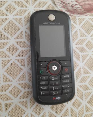 telefono cellulare