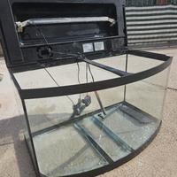 acquario caymam 80 scenic 