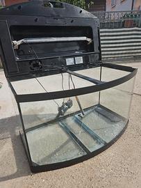 acquario caymam 80 scenic 