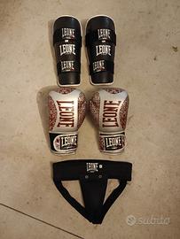 Guantoni,paratibie e conchiglia Leone