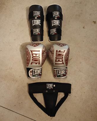 Guantoni,paratibie e conchiglia Leone