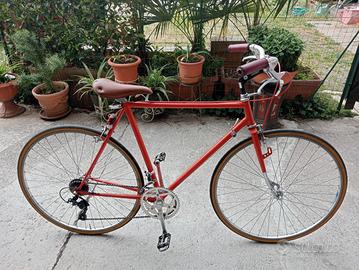 Bicicletta da uomo 