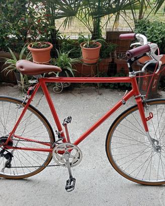 Bicicletta da uomo 