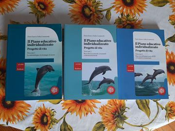 Il Piano educativo individualizzato Erickson 2009