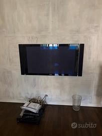 Tv pioneer