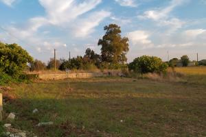 Terreno edificabile Castiglione d'Otranto