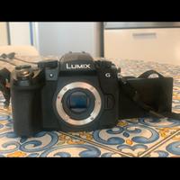 Lumix g95-90 + Lumix G Vario 45-200 (4-5.6) OIS