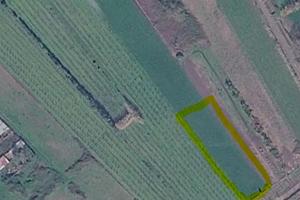 Terreno agricolo a Cellole (CE) - Baia Domizia