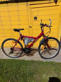 Bicicletta City Bike 