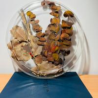 Piatto decorativo Christian Dior