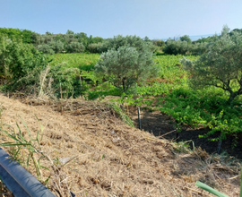 Terreno a punta ferruccio di ortona