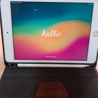 iPad mini 5 (2019) 7,9" con custodia e penna