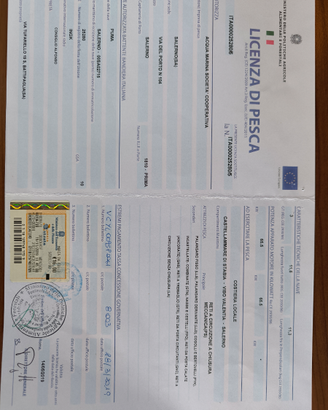 Motopesca in vetroresina