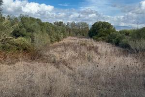 Terreno Agricolo con possibilità di Edificare