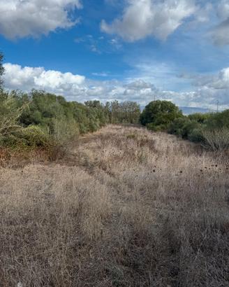 Terreno Agricolo con possibilità di Edificare