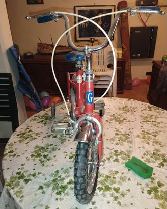 Bicicletta vintage Canelli