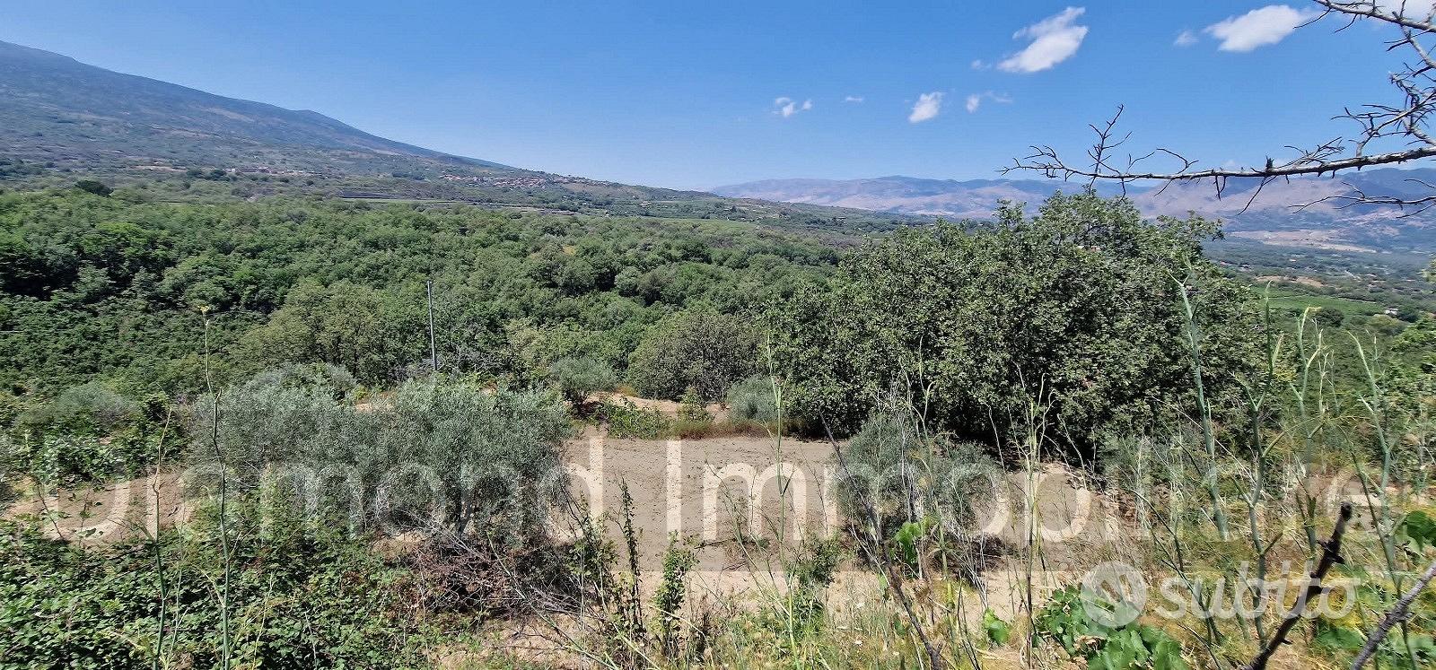 Terreno agricolo 7,5 ettari Castiglione di Sicilia - Altro