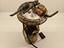 Immagine 3