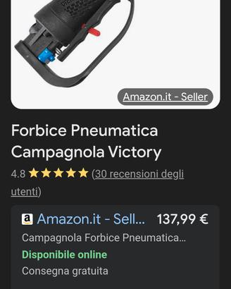 campagnola