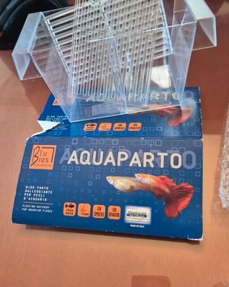 vaschetta parto per pesci d'acquario