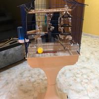 Gabbia e trespolo per pappagalli