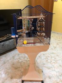 Gabbia e trespolo per pappagalli