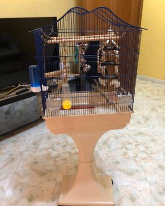 Gabbia e trespolo per pappagalli