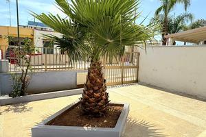 Comodo appartamento a due passi dalle spiagge