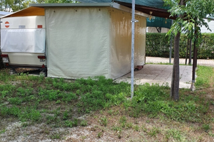 Roulotte + struttura