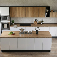 CUCINA LINEARE CON ISOLA CON  ELETTRODOMESTICI